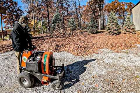 $1,500 LEAF CLEANUP That I would''ve NEVER Tackled Without This..