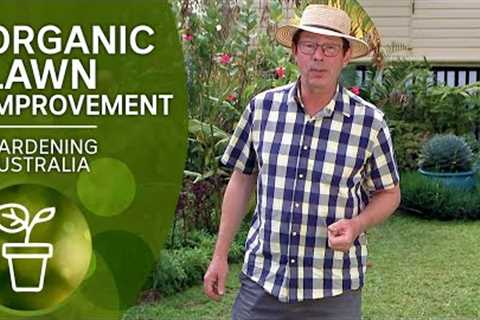 Organic tips to control weeds and improve your lawn