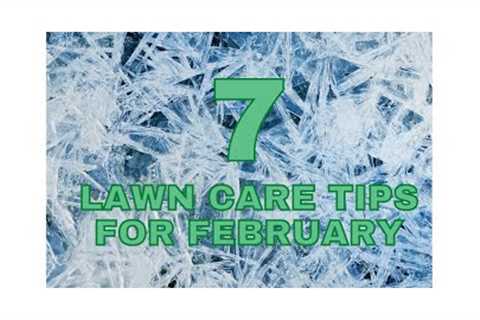 7 February lawn care tips and why 10 30 is the magic number