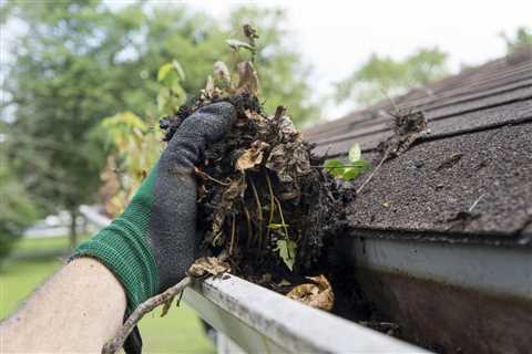 Gutter Cleaning Walthamstow