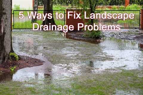 5 Ways to Fix Landscape Drainage Problems