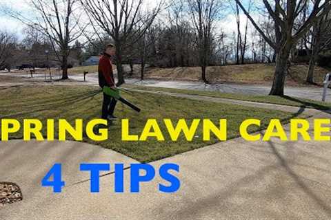 SPRING Lawn Care - What to do First?