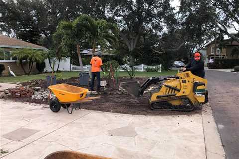 Tree Removal St. Petersburg