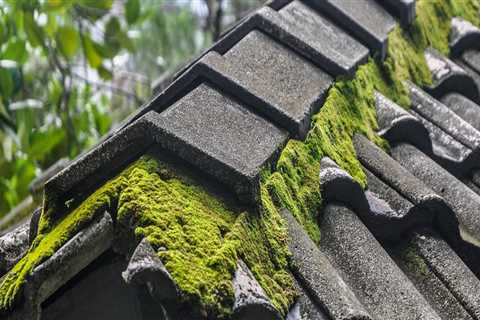 Why cleaning your roof is important?