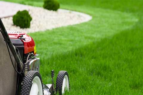 How do you clean an old lawn?