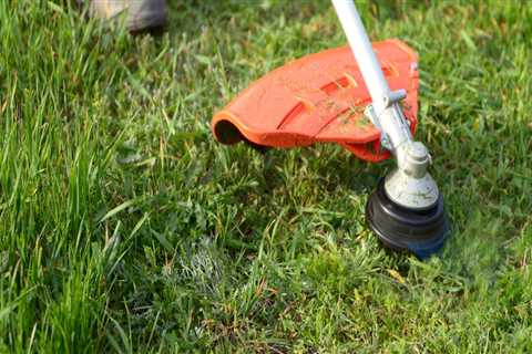 What does yard cleaning include?