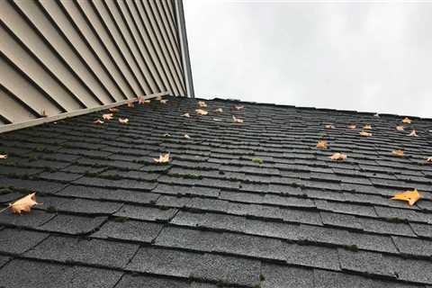 Does moss on roof mean mold?