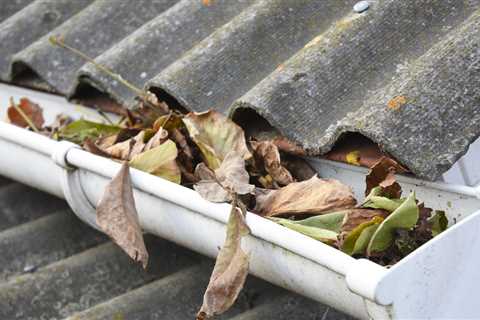 Surrey Gutter Cleaners