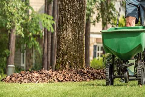 What is the best month to fertilize your lawn?