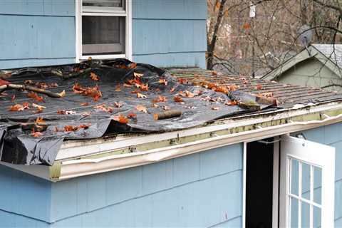 House roof problems?