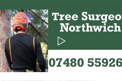 Tree Surgeon Northwich Tree Felling 24 Hour Tree Removal Stump Grinding And Stump Removal Services