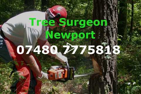 Tree Surgeon Newport Local Tree Services & Tree Surgery Company - Tree Surgeons Near Me