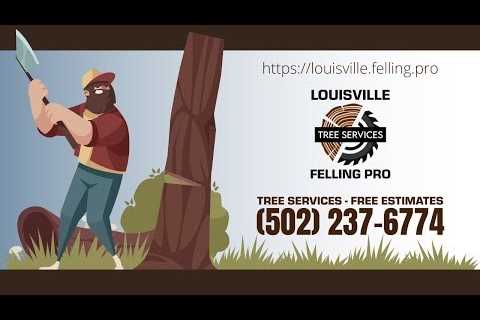 Tree Service Louisville, KY