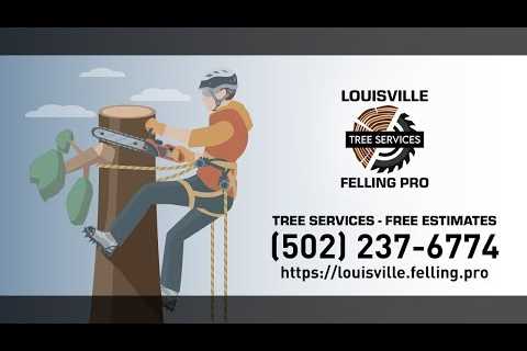 Louisville Felling Pro