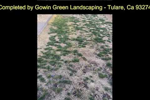 UPDATED 12-23-2022 - My Experience with Gowin Green Landscaping, Tulare, Ca 93275