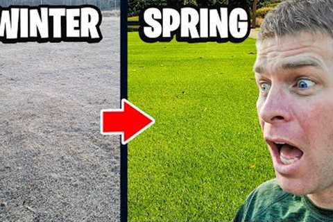 Lawn Care Tips in Winter For a Great Lawn in Spring