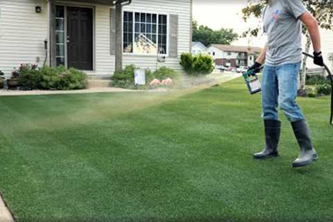 Can You FERTILIZE Your Lawn In SUMMER??