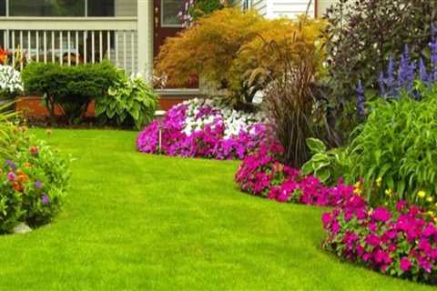 When is the Right Time to do Lawn Care Services?