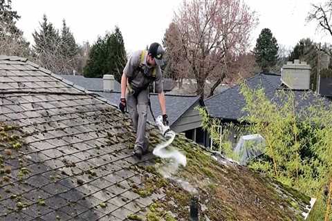 What's the best way to remove moss from a roof?