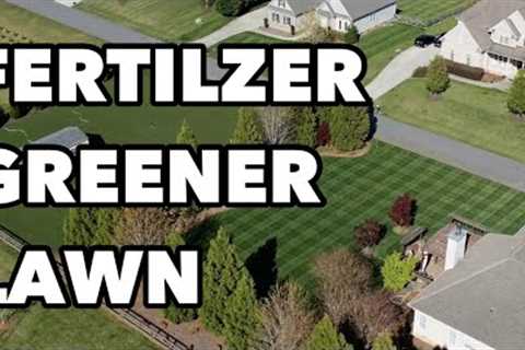 Spring Lawn Fertilizer For ALL Grass Types