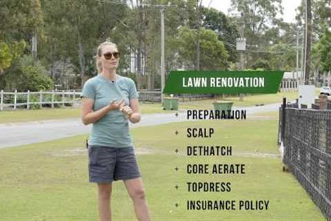 Lawn Renovation Guide // How to Plan Your Spring Reno