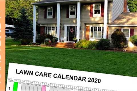 Easy Lawn Care Program (Beginner and Advanced) // Updated for 2020