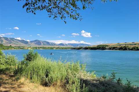 Tree Removal Hyrum Utah