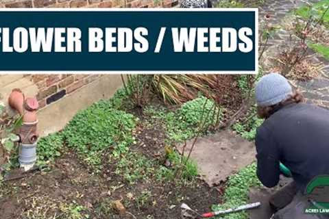 Flowerbed Clear Out | Plant Care and Removing Weeds | Yard Lawn Care And Maintenance