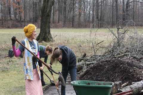 The Advantages of Seasonal Yard Tidy Up