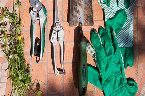 Basic Tools for Home  Backyard Cleanup