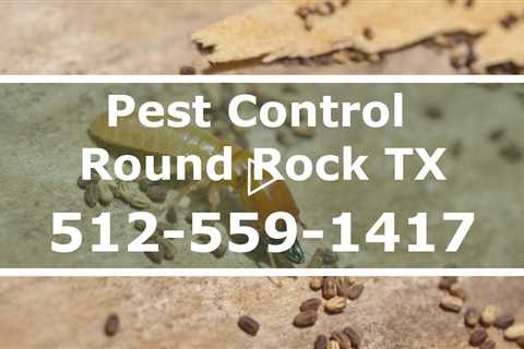 Exterminator  Round Rock Texas - Residential Pest Control 24 Hr Termite Control & Bed Bug Treatment