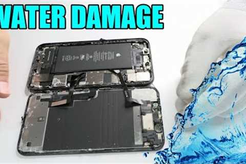 iPhone 11 Water damage 💦 Can it be repaired?