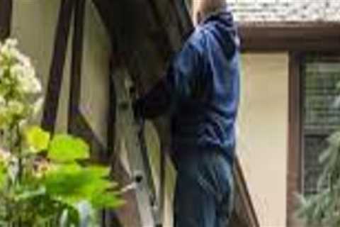 Top 30 Ways To Have an Effective Home Landscaping and Gutter Cleaning Routine