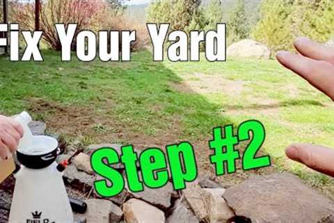 Kill Early Spring Weeds - Step 2 // How To Take Care Of A Lawn