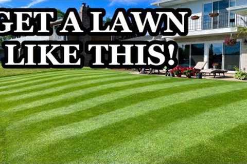 Fix an UGLY LAWN this Spring - First Steps