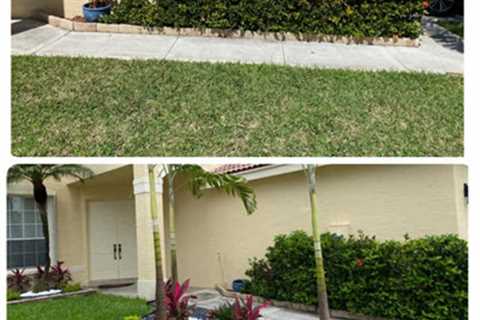 Tree care - Pembroke Pines, FL - EPS Landscaping & Tree Service LLC