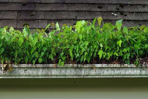 What happens if gutters aren't cleaned?