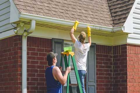 Can cleaning gutters make you sick?