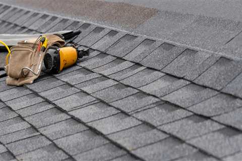 What are the 3 main types of roofs?