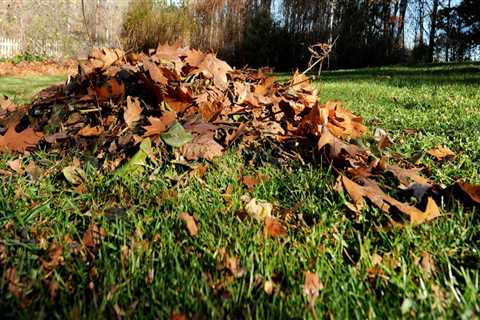 What happens if you dont clean up leaves in fall?