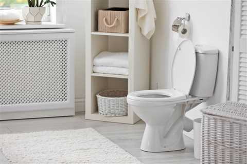 Everything You Need to Know About Toilets