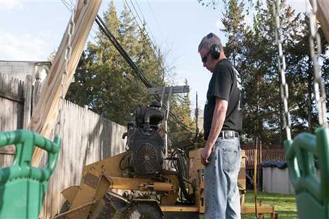 Is Stump Grinding a Profitable Business?