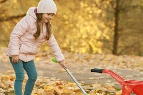 Maintaining Your Yard is Vital for Your Home's Health and Safety