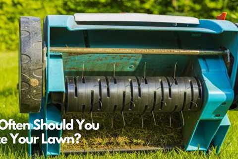 How Often Should You Aerate Your Lawn?