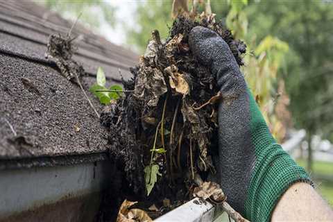 The Dangers of DIY Gutter Cleaning