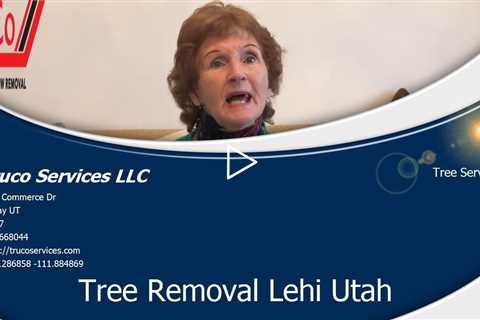 Commercial Tree Service Payson Utah