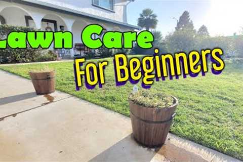 8 Beginner Friendly Lawn Care Tips For Any Lawn