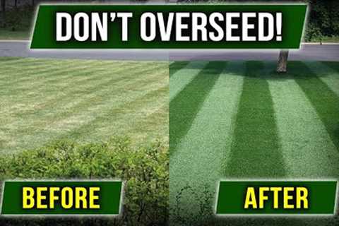 STOP OVERSEEDING! There''s a Cheaper Way!!