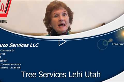 Emergency Tree Damage Santa Clara Utah