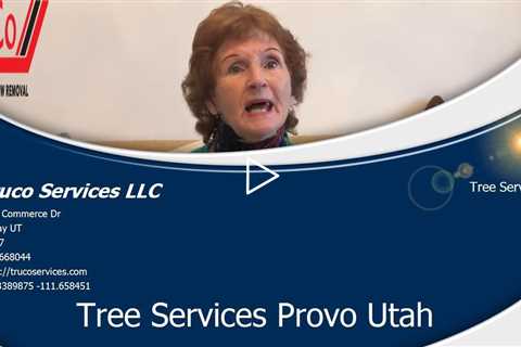 Emergency Tree Damage Provo Utah